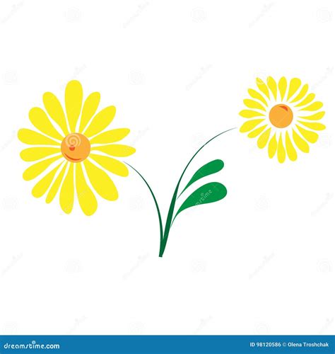 Yellow Flower Vector Illustration Stock Vector Illustration Of