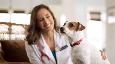 We did not find results for: Dog Health Care | Hill's Pet