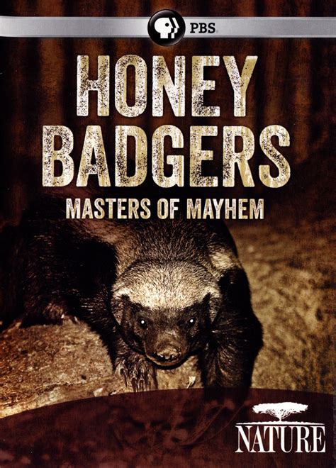 Best Buy Nature Honey Badgers Masters Of Mayhem Dvd 2014