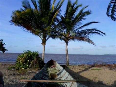 View Paramaribo Suriname Beaches  Hd Backround