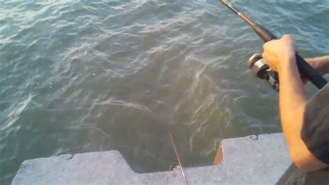 Shoreline Fishing Huge Lake Erie Catfish Youtube