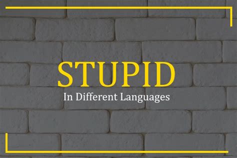 How To Say Stupid In Different Languages 100 Ways
