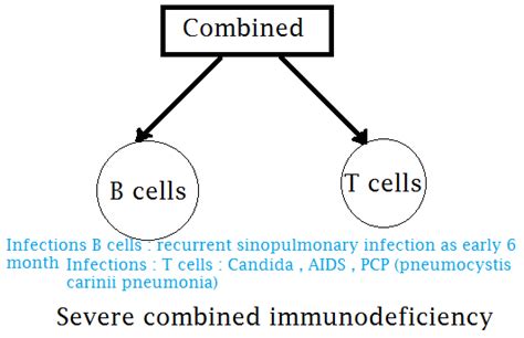 Immunodeficiency Disorders Easy Way To Remember Usmle ~ Medical