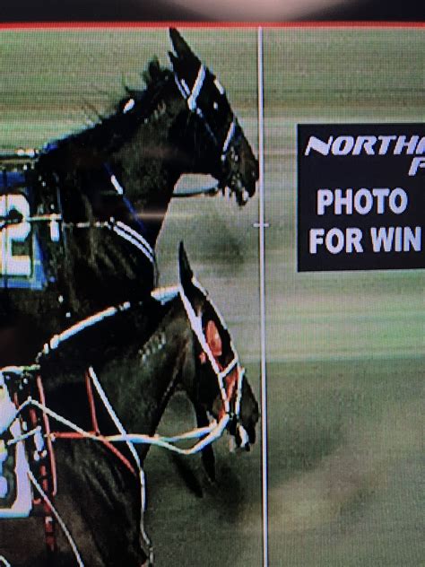 DRF Harness Matt on Twitter: "It’s almost time for the Battle! See who