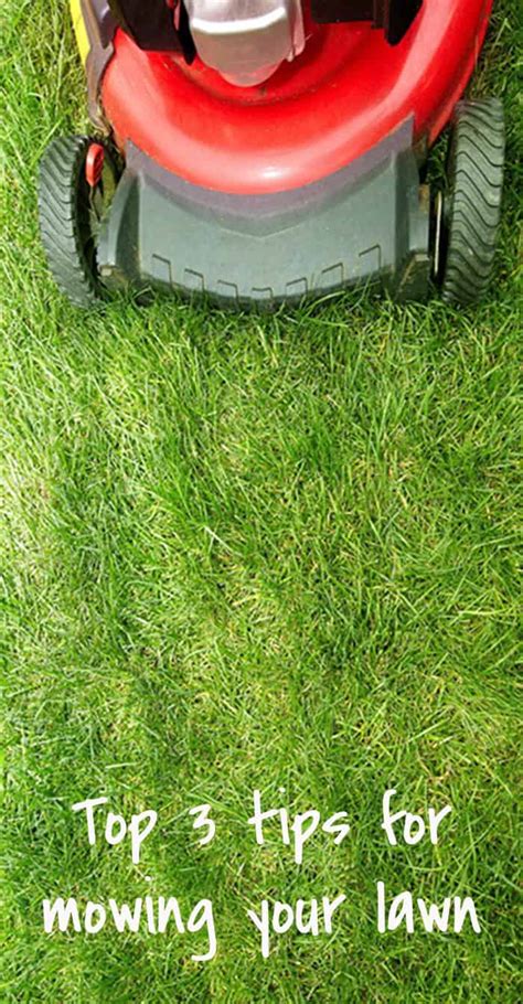 Top 3 Tips For Mowing Your Lawn Ohoh Blog