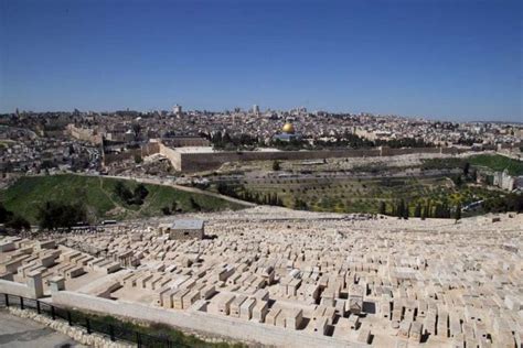 Friday 9 april 2021 13:05, uk. Religions in Jerusalem must live in peace, Pope says ...