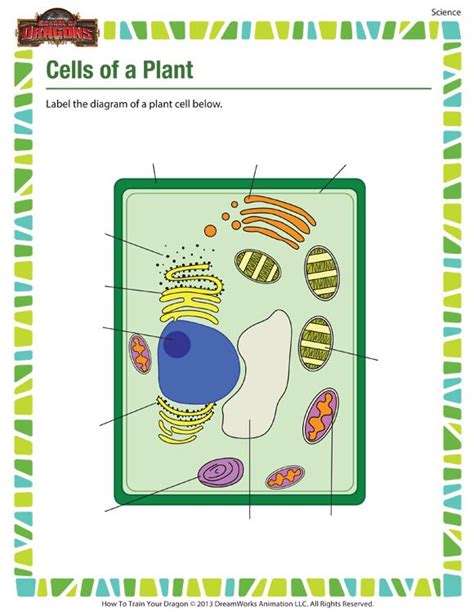 Science worksheets for kindergarten to grade 5, organized by grade and topic. Cells of a Plant - Printable science worksheets for 5th ...