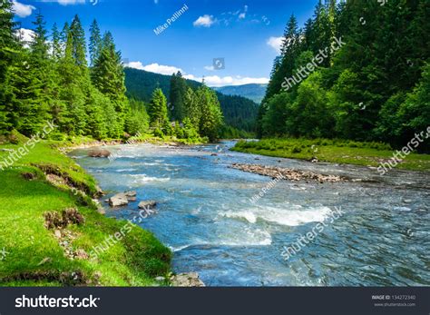 Landscape Mountains Forest River Front Beautiful Stock