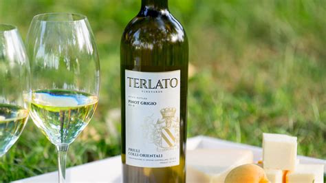 Вино pinot grigio friuli grave doc italo cescon 0.75 л. This Is the Perfect Wine Glass for Your Favorite Pinot ...