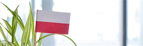 Successfully Investing In Poland Rödl And Partner