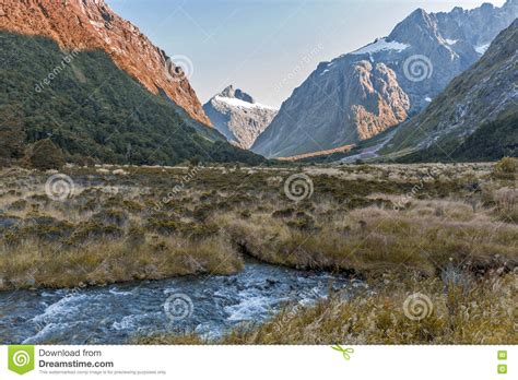 Monkey Creek In Fiordland New Zealand Stock Photography