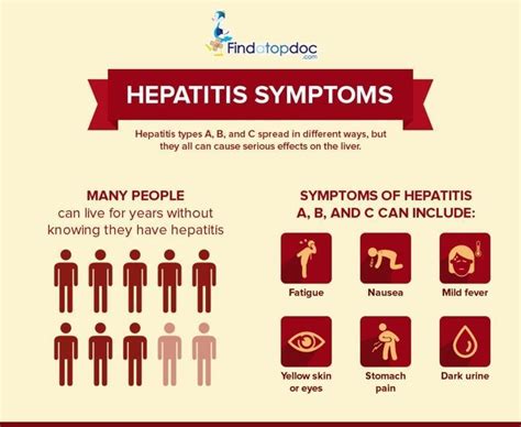 Is Hepatitis B Contagious Acute Vs Chronic Hepatitis B Infection