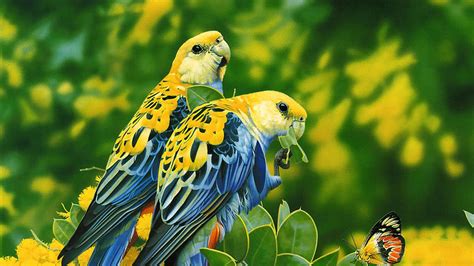 Blue Yellow Birds Are Sitting On Yellow Flowers Green Leaves Branches
