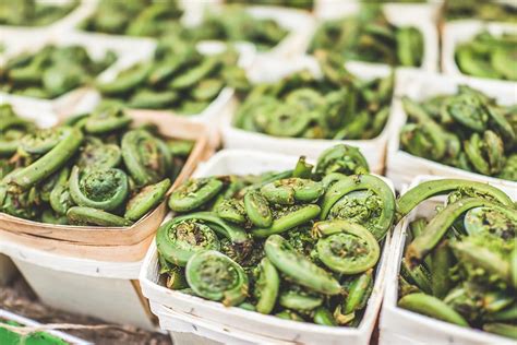 Our Guide To Fiddleheads What Are Fiddlehead Ferns First Choice