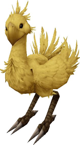 Image Chocobo Ccviipng Final Fantasy Wiki Fandom Powered By Wikia