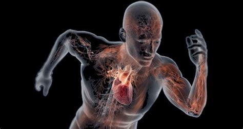 10 Amazing Things Human Body Does That Nobody Realizes