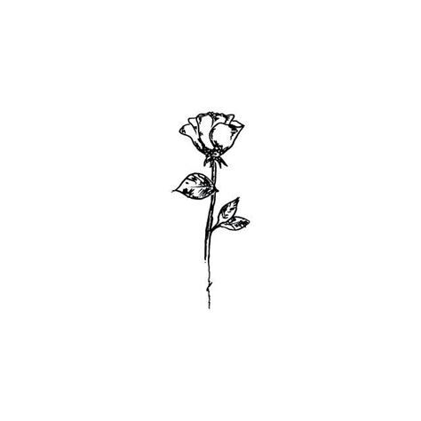 Aesthetic Rose Tattoo Rose Drawing Best Tattoo Ideas