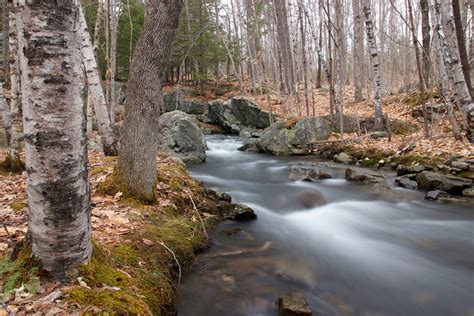 Images Gratuites Paysage Arbre Eau La Nature Forêt De Plein Air