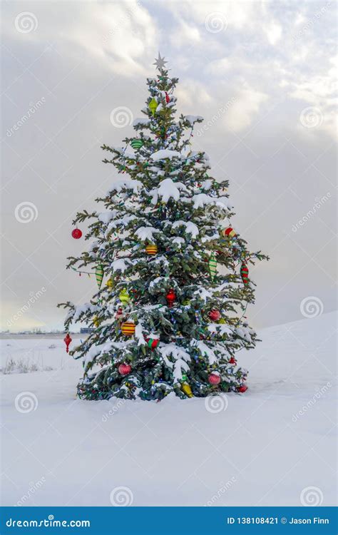 Outdoor Christmas Tree On Snowy Ground Against Sky Stock Image Image