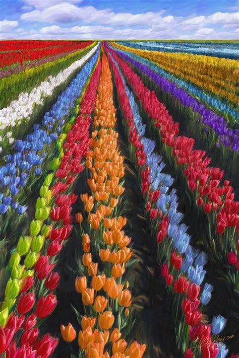Second concept of the flower in full bloom. Holland Tulip Fields. Stripes of color Wanderlust with UD ...