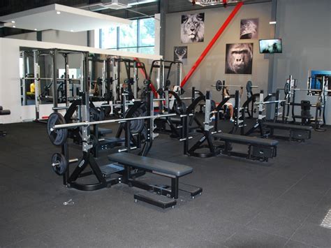 Our club has everything you need from machines, free weights, fitness classes to combat exercises or circuit training. One Fitness Club Strasbourg - Tarifs, Avis, Horaires ...