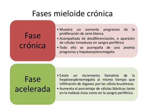 In stadiu incipient, leucemia mieloida cronica nu se manifesta. Leucemia Mieloide Cronica