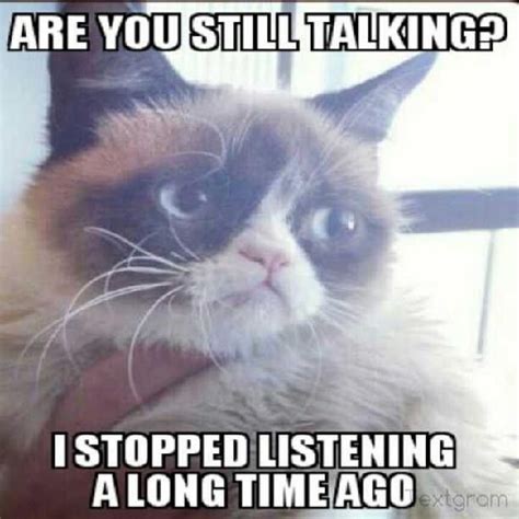 Funny Images On Askideas Funny Pictures Quotes Animals And Jokes Grumpy