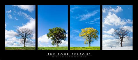 The Four Seasons Weather And The Four Seasons