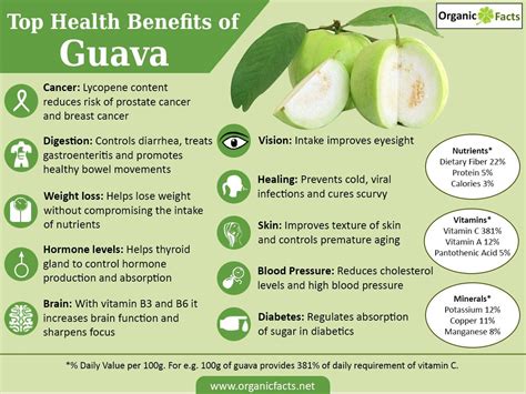 Here are some of the properties and benefits of guava leaves, among. Health Benefits of Guavas | Nikki Kuban Minton