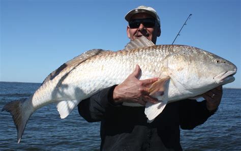 Beach Bum Fishing