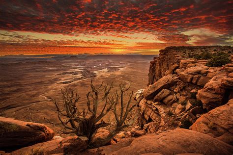 Canyonlands Sunset Photograph By Prem Mukherjee Fine Art America