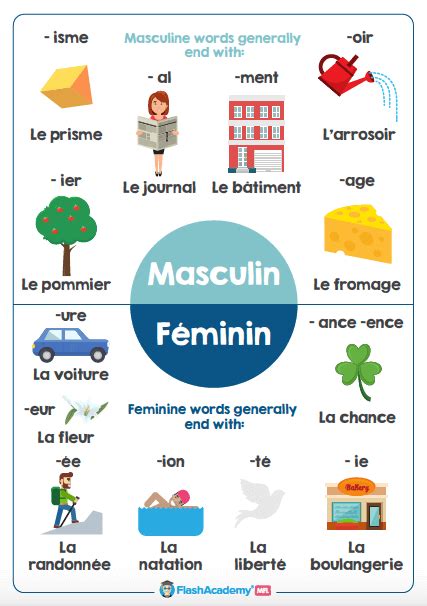 French: Feminine vs. Masculine - FlashAcademy