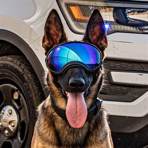 Rex Specs Dog Goggles Eye Protection For The Active Dog Apparel