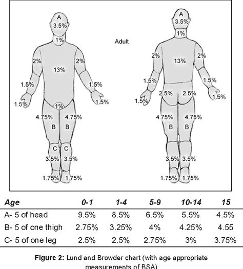 Burn Percentage Diagram Burn Percentage In Adults Rule Of Nines Chart