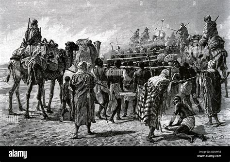 Slavery Arab Slave Caravan Heading For The West Coast Of Africa From A