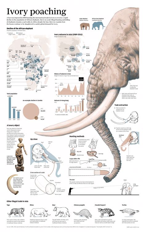 Elephant Information Facts Pictures And Video Learn More Big 5 Info