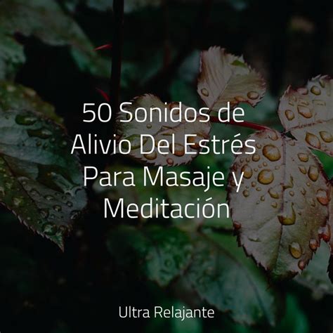 50 Sonidos de Alivio Del Estrés Para Masaje y Meditación by Música