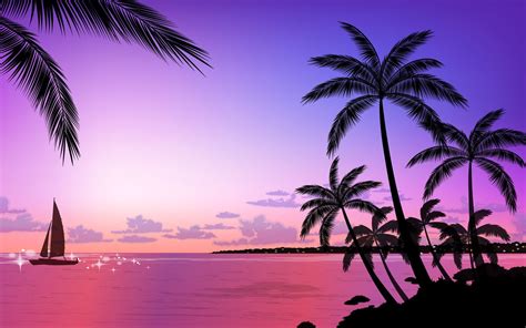 Tropical Beach Sunset Wallpaper Wallpapersafari