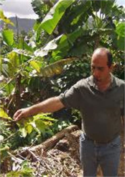 Most of larger coffee plantations are not open to the public, but some of the smaller, specialty/gourmet places are open for tours, and purchases. PUERTO RICO - LA RUTA DEL CAFÉ - COFFEE PLANTATION ZONE