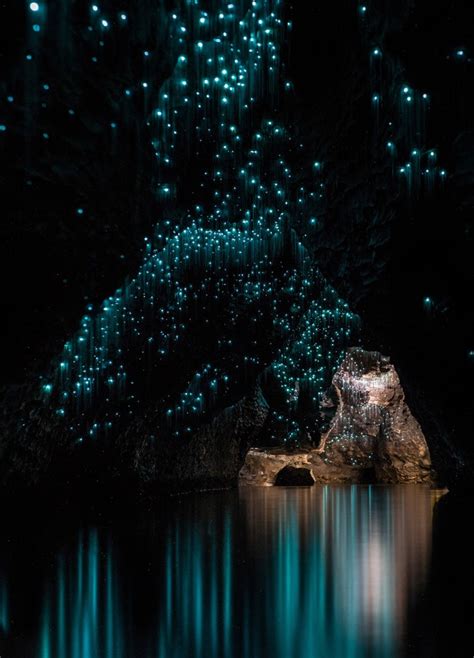 Glow Worms Emit A Phosphorescent Light That Turns Underground Caves