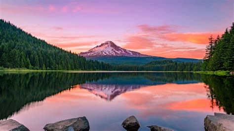 Mount Hood Reflected In The Trillium Lake Wallpaper Backiee