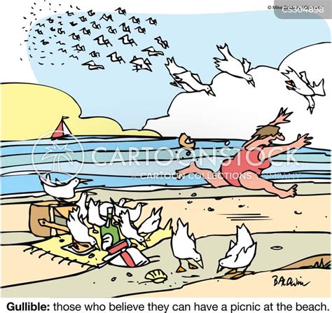 Seagull Cartoons And Comics Funny Pictures From Cartoonstock