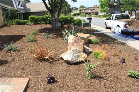 Xeriscape Front Yard With Mulch Boulders And And Drought Tolerent