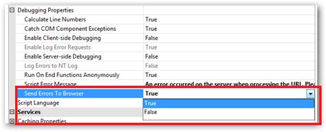 Required For An Iis Site To Send Error Details To The Browser Itecnote