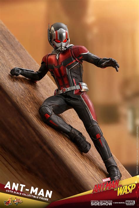 Ant Man Sixth Scale Figure By Hot Toys