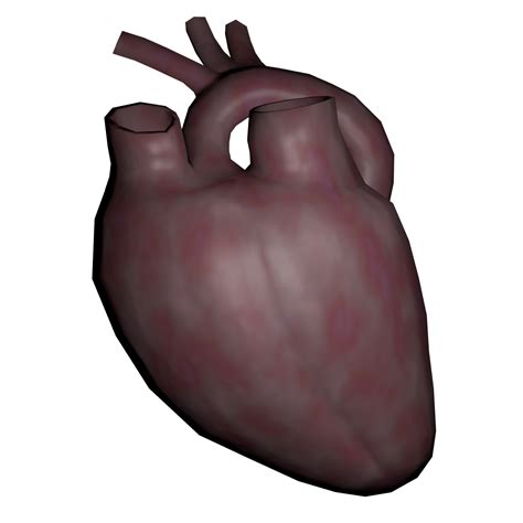 Human Heart | OpenGameArt.org
