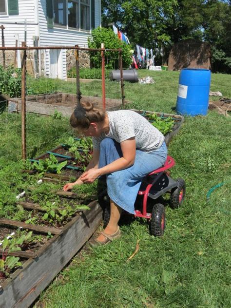 Accessible Gardening Techniques 2022