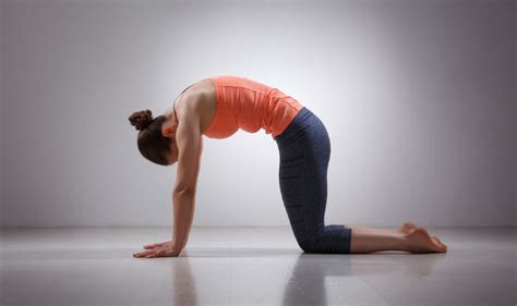 It involves moving the spine from a rounded position (flexion) to an arched . Cat And Cow Pose Yoga Pregnancy / Pregnancy Yoga Poses 12 ...