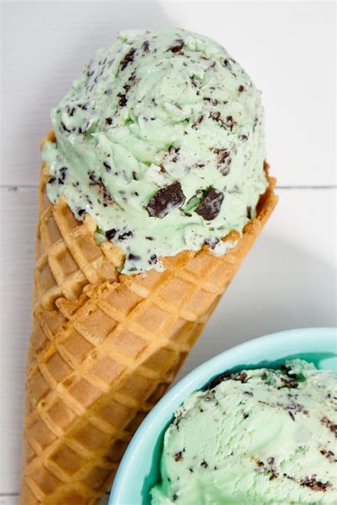 Homemade Mint Chocolate Chip Ice Cream A Food Lover S Kitchen