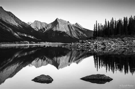 10 Tips For Creating Better Black And White Nature Photographs — Sarah